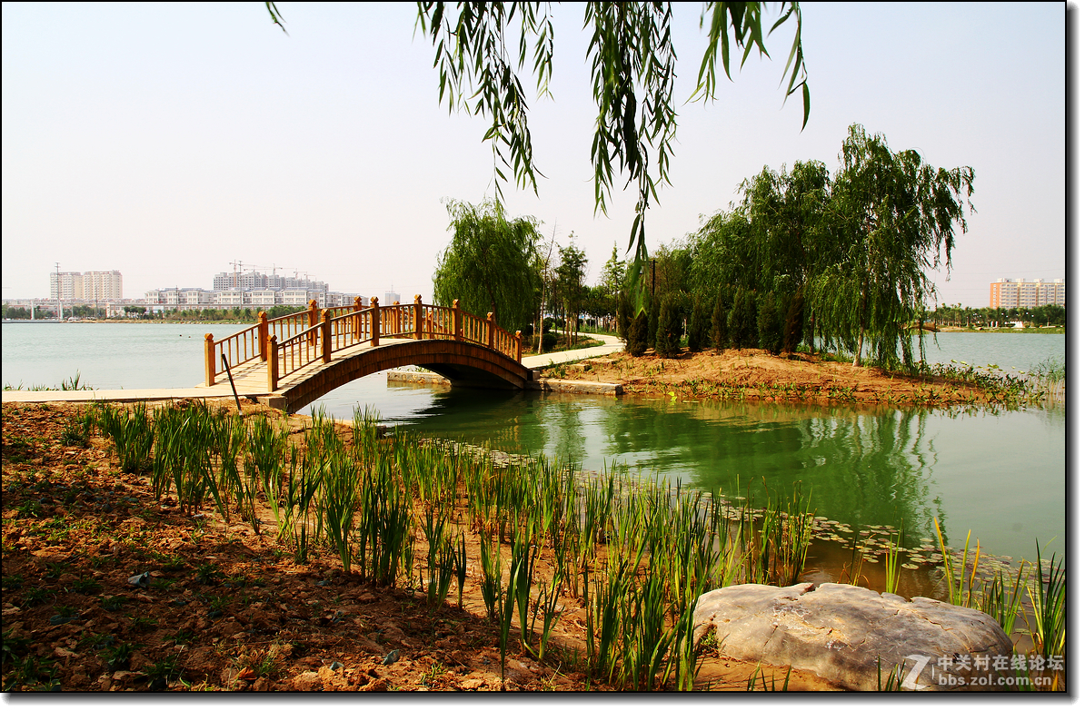 阳谷南湖湿地公园图片