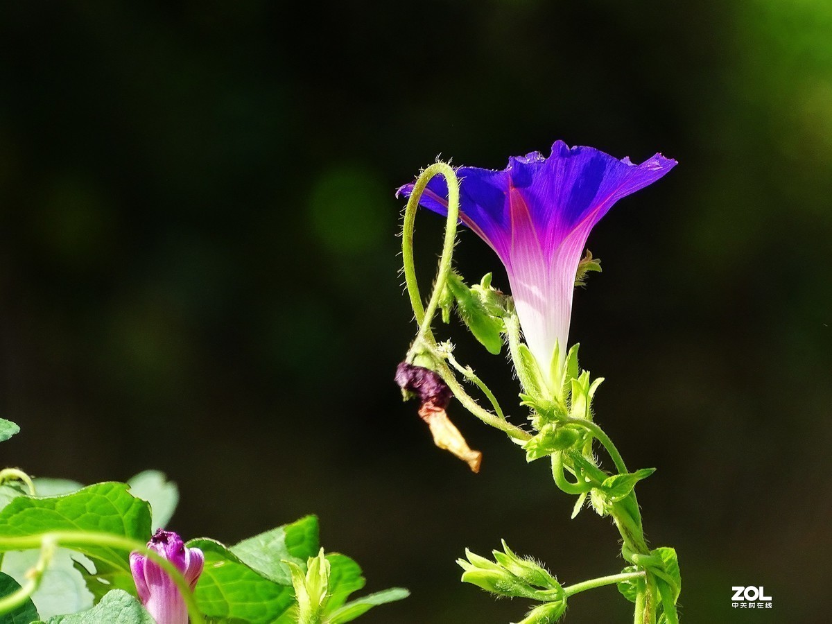 #版主坐堂#小五星空(中国)2019年十月精品荟萃