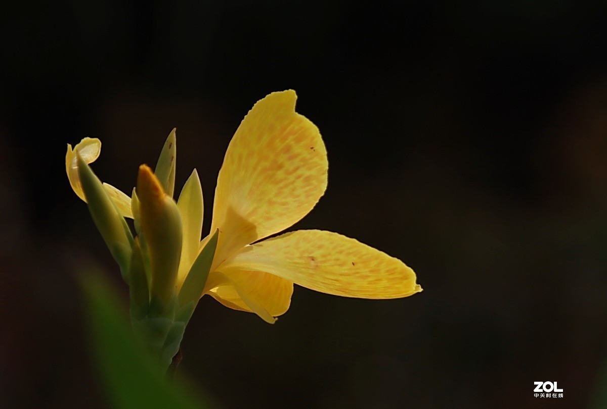 #版主坐堂#小五星空(中国)2019年十月精品荟萃