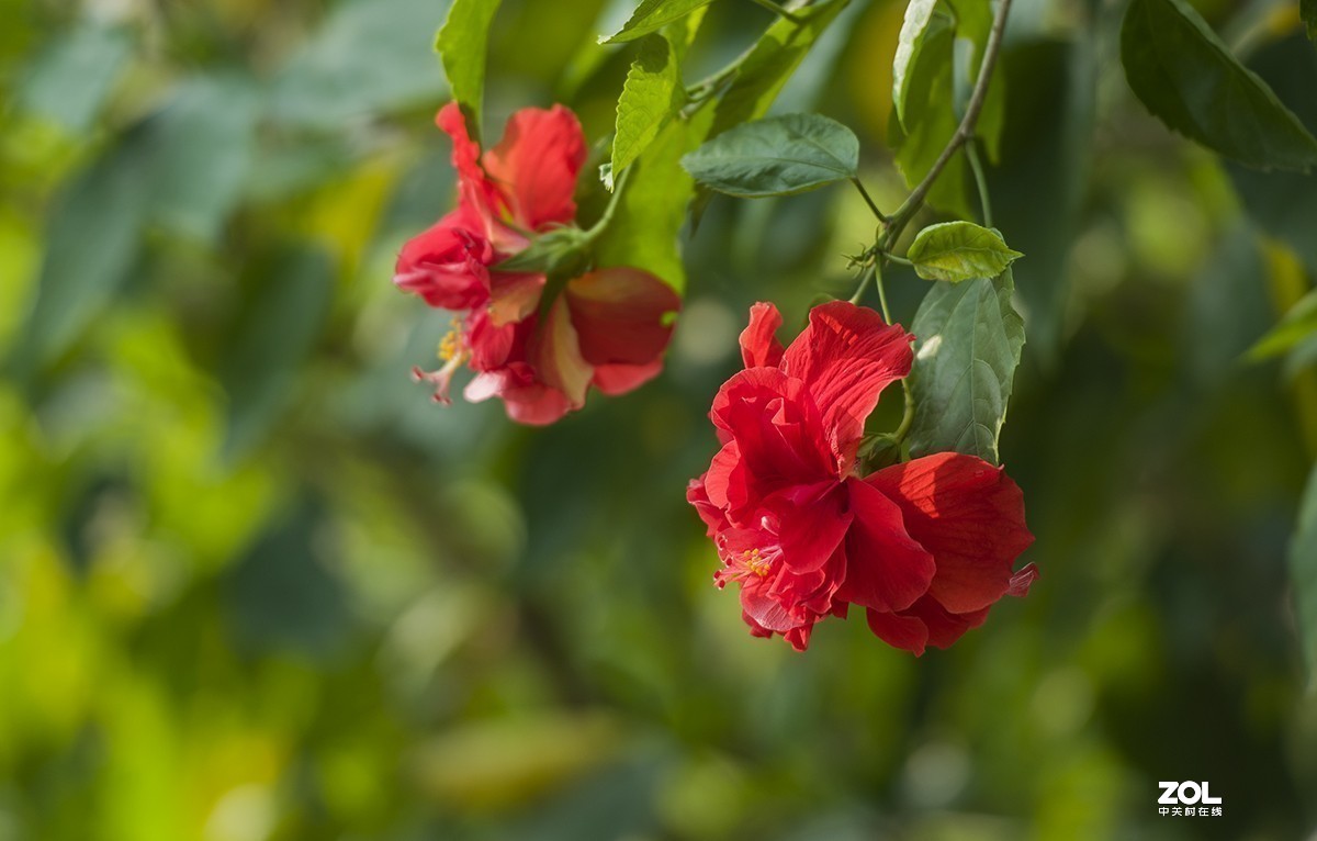 #版主坐堂#小五星空(中国)2019年十月精品荟萃