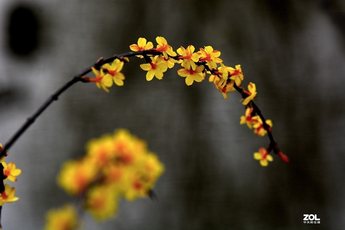 #版主坐堂#小五星空(中国)2019年十月精品荟萃