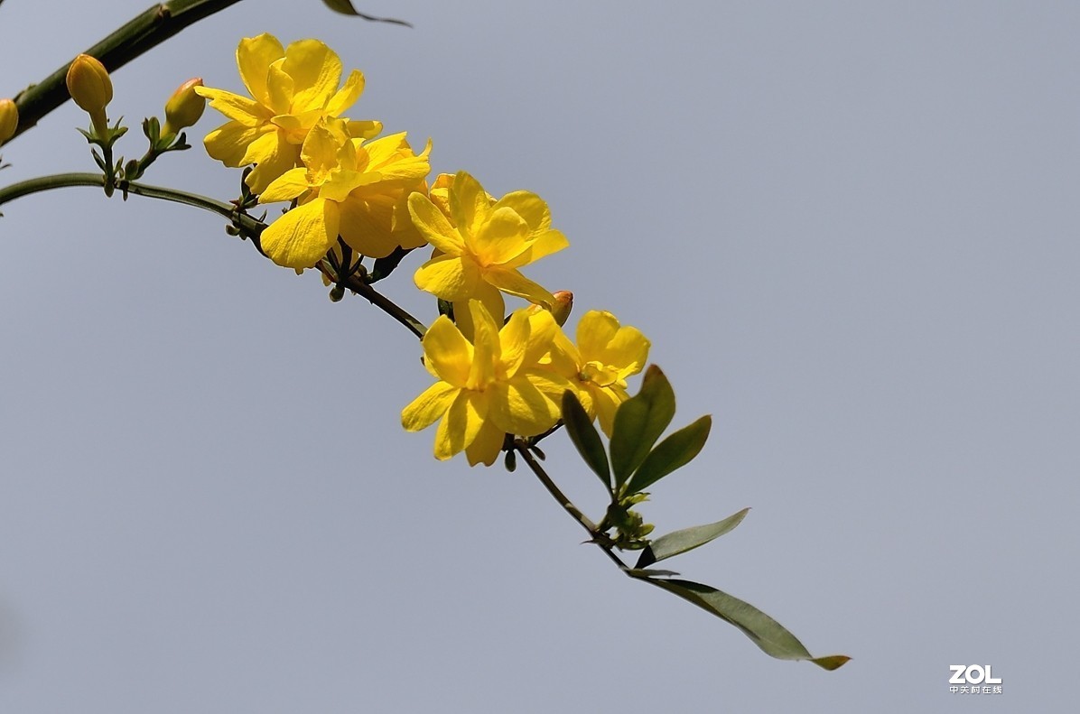 #版主坐堂#小五星空(中国)2019年十月精品荟萃