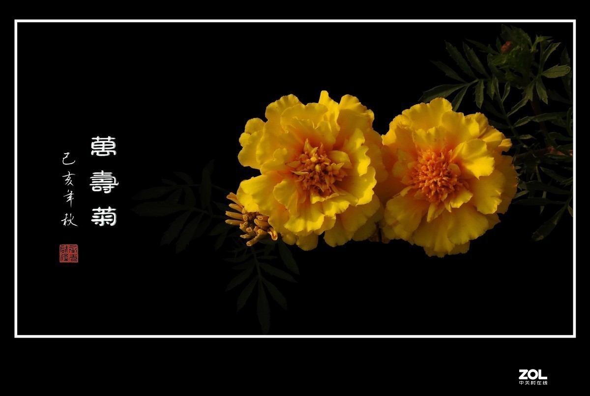 #版主坐堂#小五星空(中国)2019年十月精品荟萃