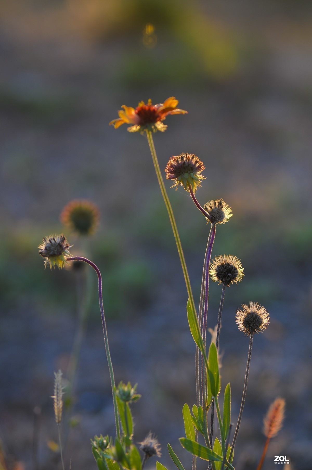 #版主坐堂#小五星空(中国)2019年十月精品荟萃