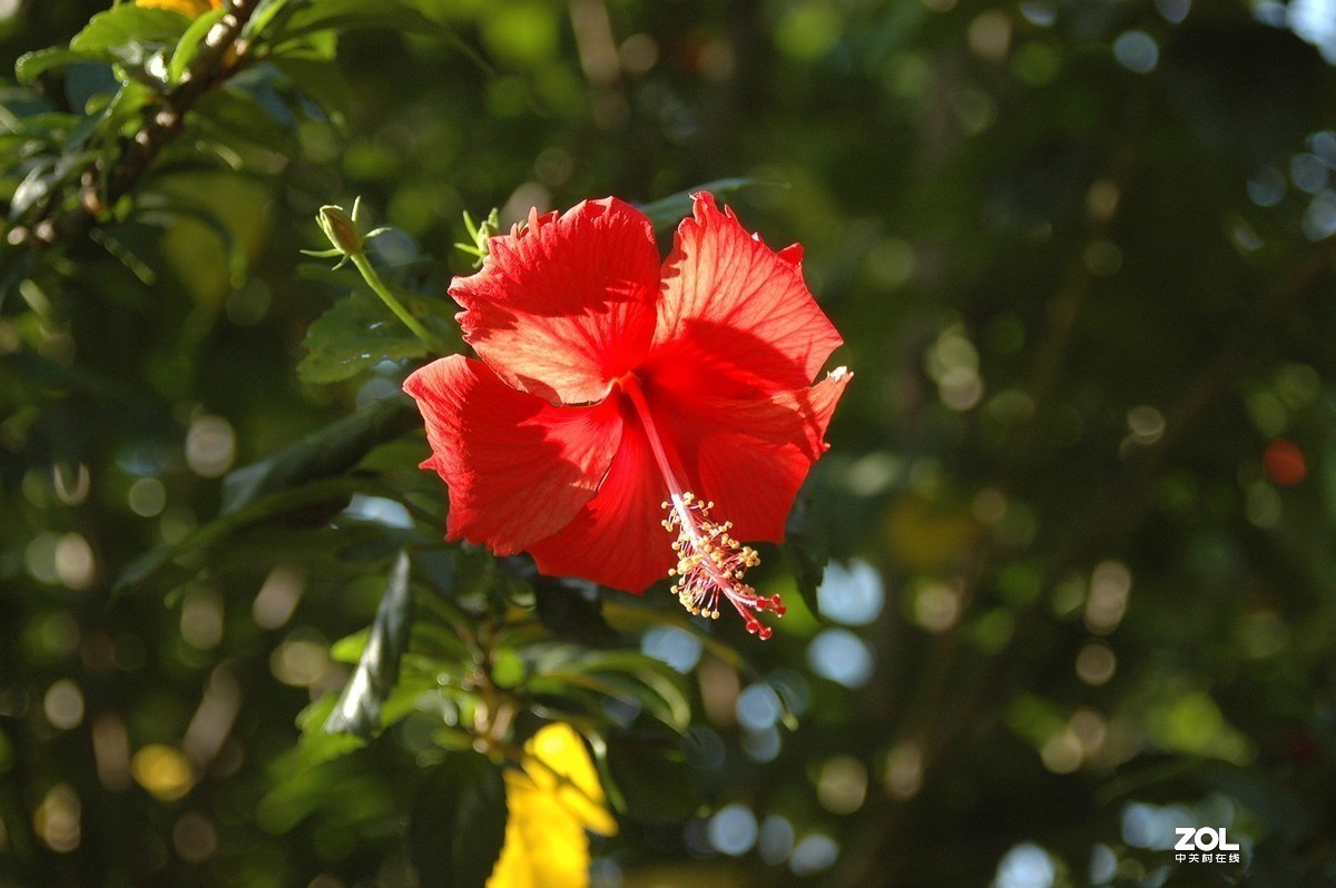 #版主坐堂#小五星空(中国)2019年十月精品荟萃