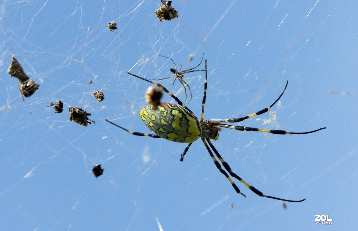 #版主坐堂#小五星空(中国)2019年十月精品荟萃