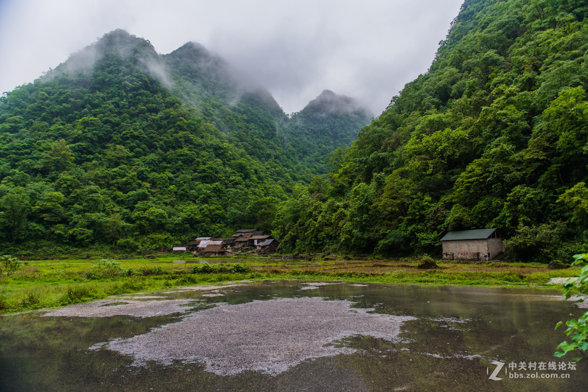 2015-05-04 贵州茂兰自然保护区-中关村在线摄影论坛