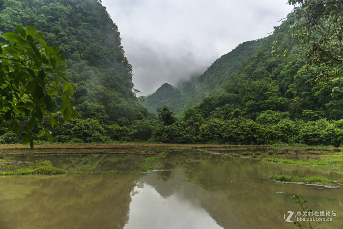 2015-05-04 贵州茂兰自然保护区-中关村在线摄影论坛