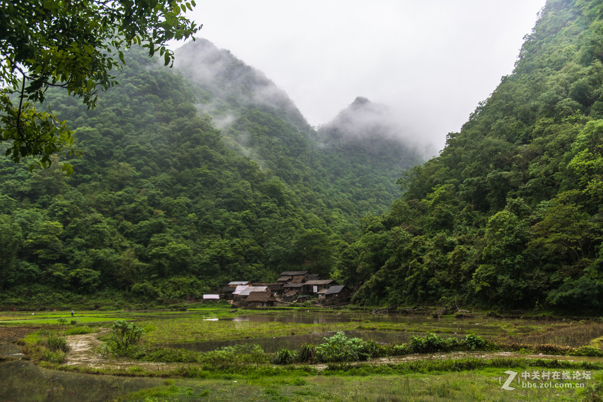 2015-05-04 贵州茂兰自然保护区-中关村在线摄影论坛