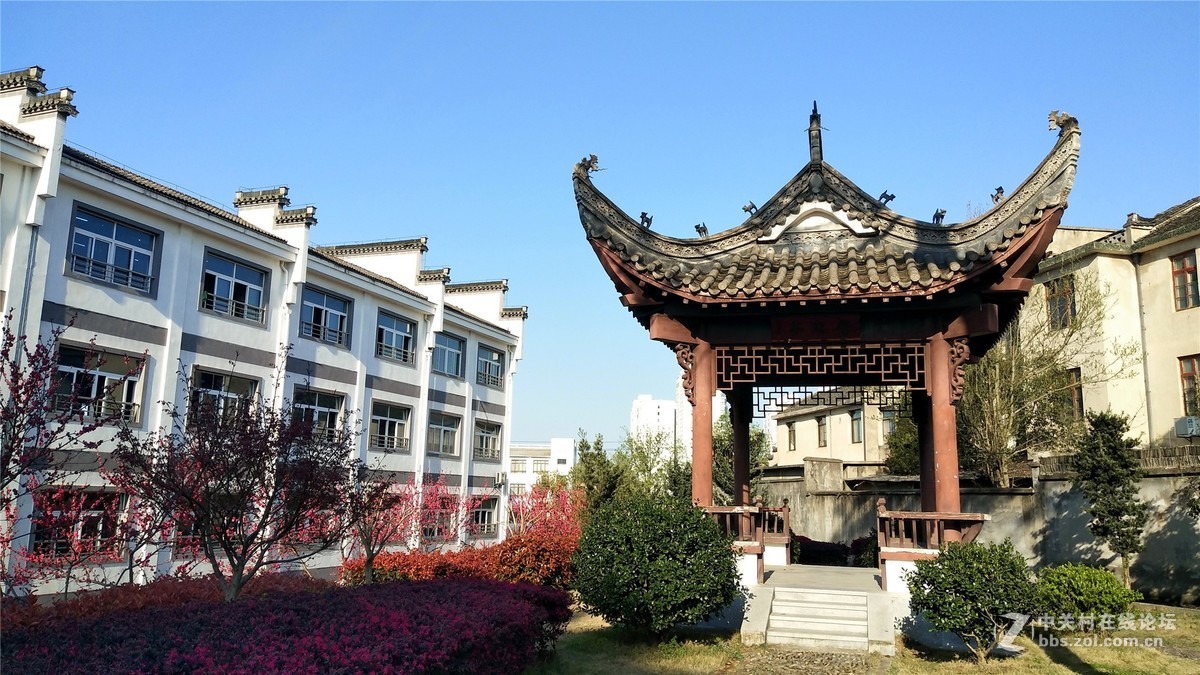 新安小学行知园