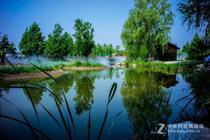 leica summicron M28/2 ASPH转接A7R试拍----顺义鲜花港