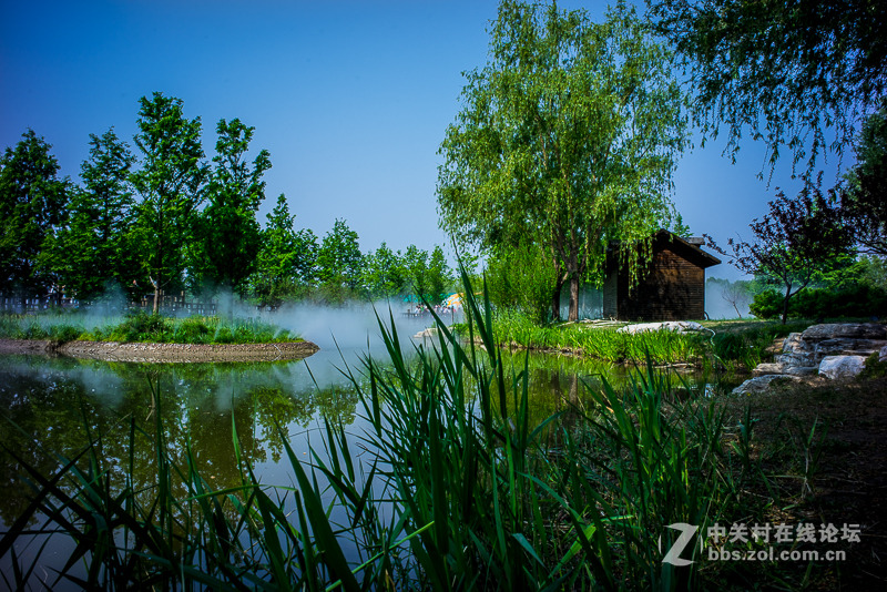 leica summicron M28/2 ASPH转接A7R试拍----顺义鲜花港