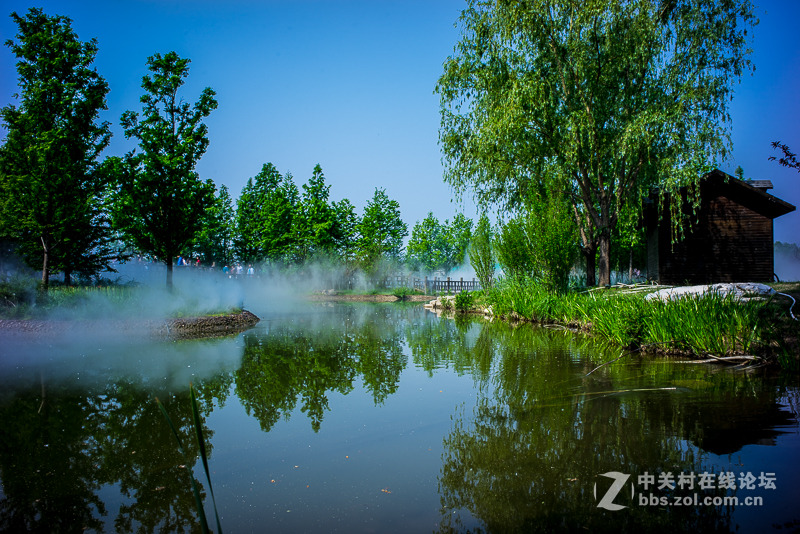 leica summicron M28/2 ASPH转接A7R试拍----顺义鲜花港