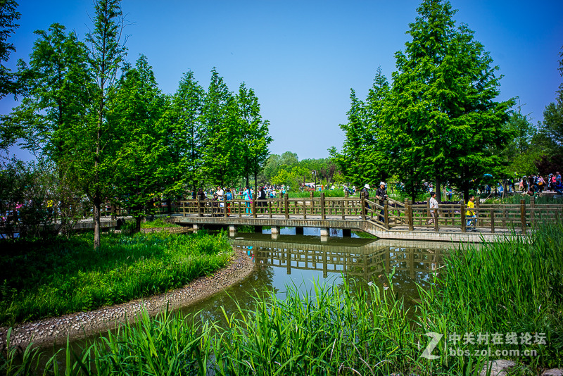 leica summicron M28/2 ASPH转接A7R试拍----顺义鲜花港