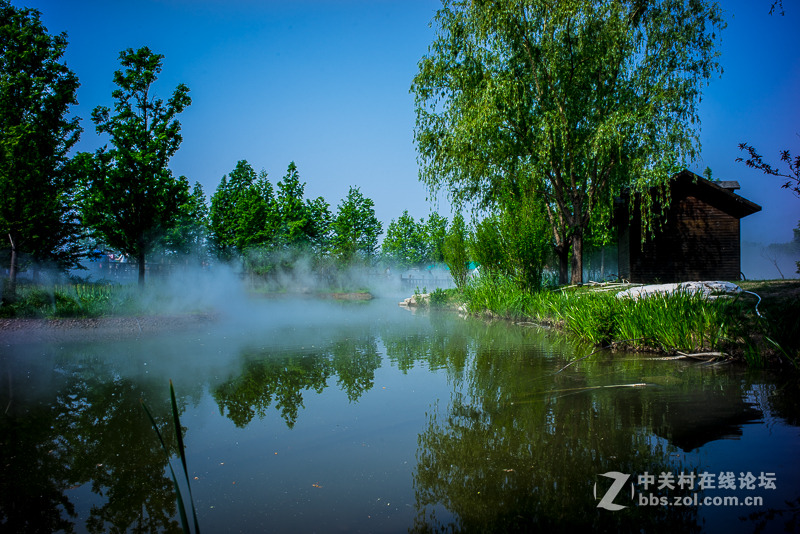 leica summicron M28/2 ASPH转接A7R试拍----顺义鲜花港