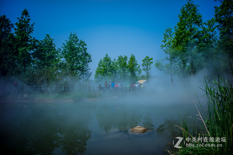 leica summicron M28/2 ASPH转接A7R试拍----顺义鲜花港