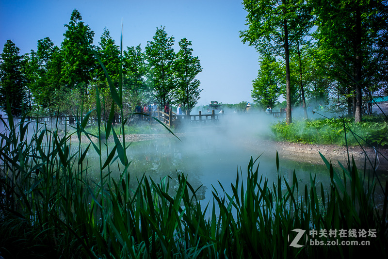 leica summicron M28/2 ASPH转接A7R试拍----顺义鲜花港