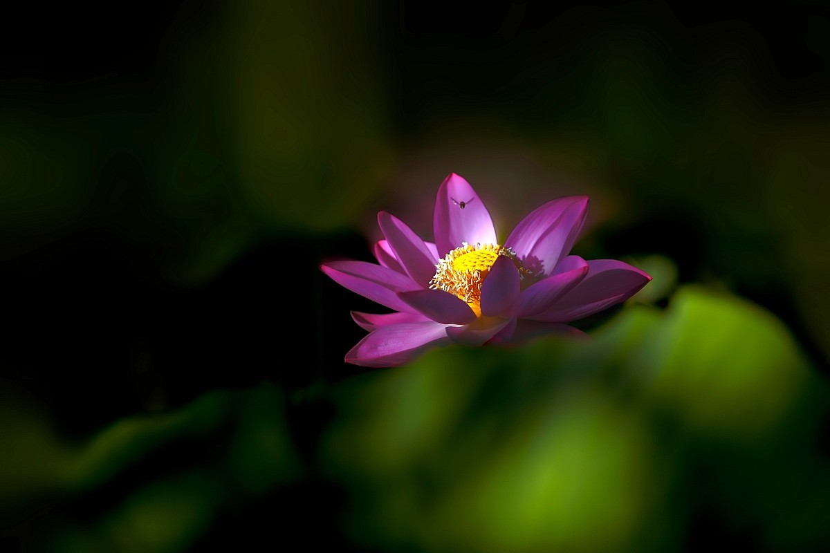 #版主坐堂#【天津版块】2015年7月金、银钻精华汇总