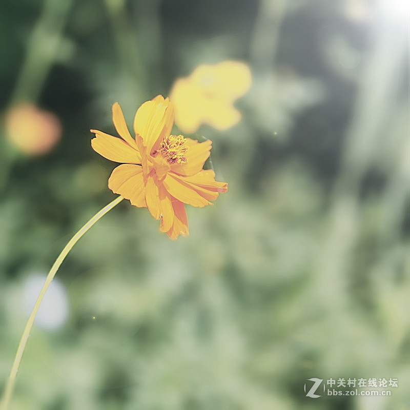 #版主坐堂#【天津版块】2015年7月金、银钻精华汇总