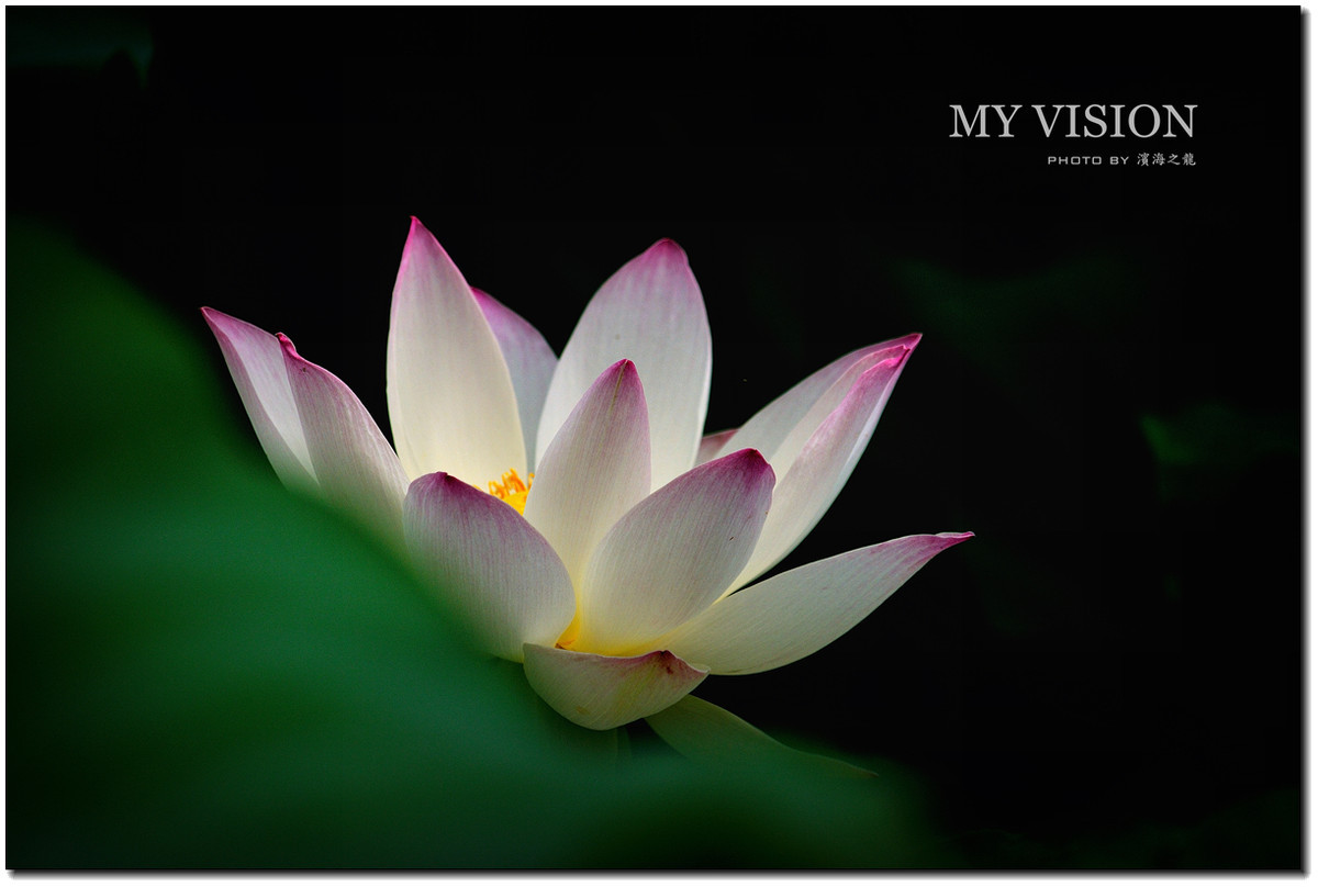 #版主坐堂#【天津版块】2015年7月金、银钻精华汇总