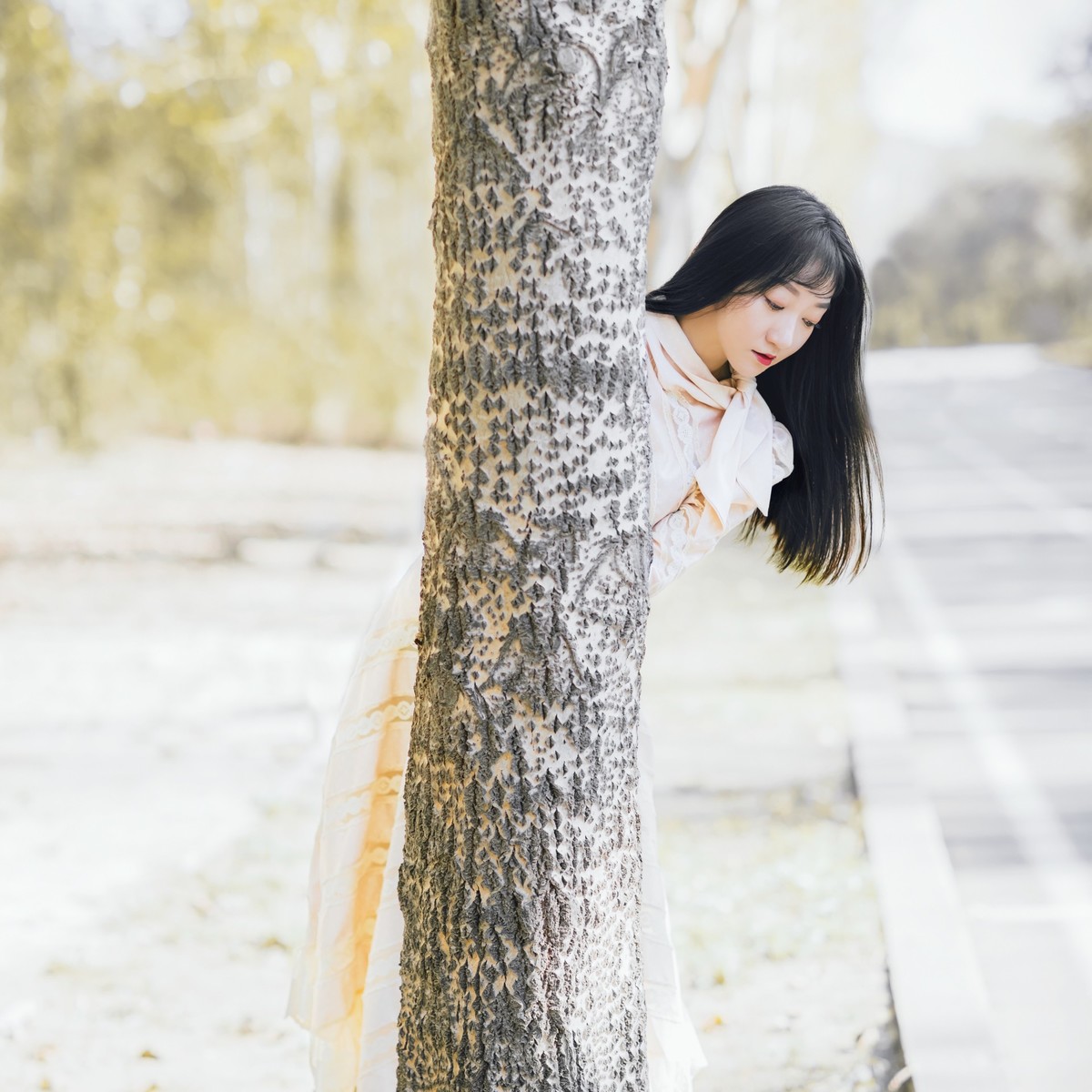 【罗兵】林荫大道