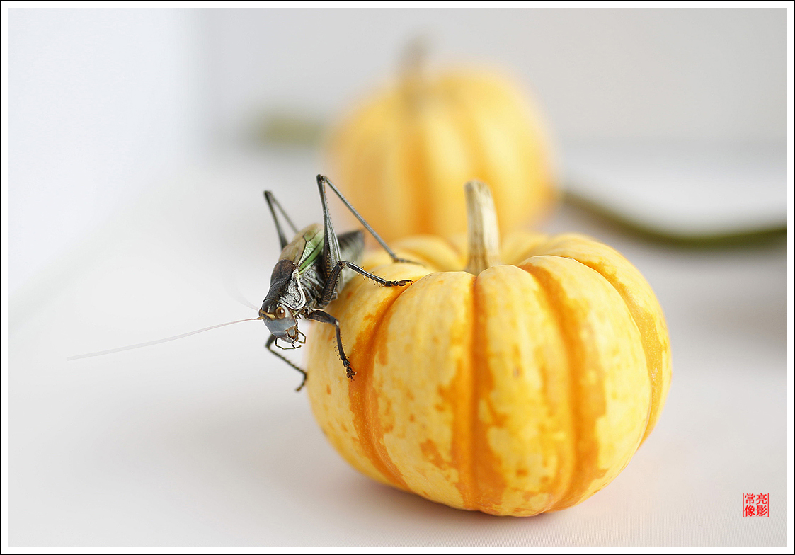 #版主坐堂#【天津版块】2015年7月金、银钻精华汇总