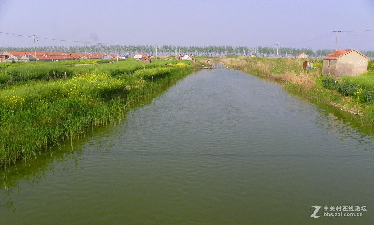 420出手了z990, 380又进了台z980，感觉还是更喜欢980的色彩的画质