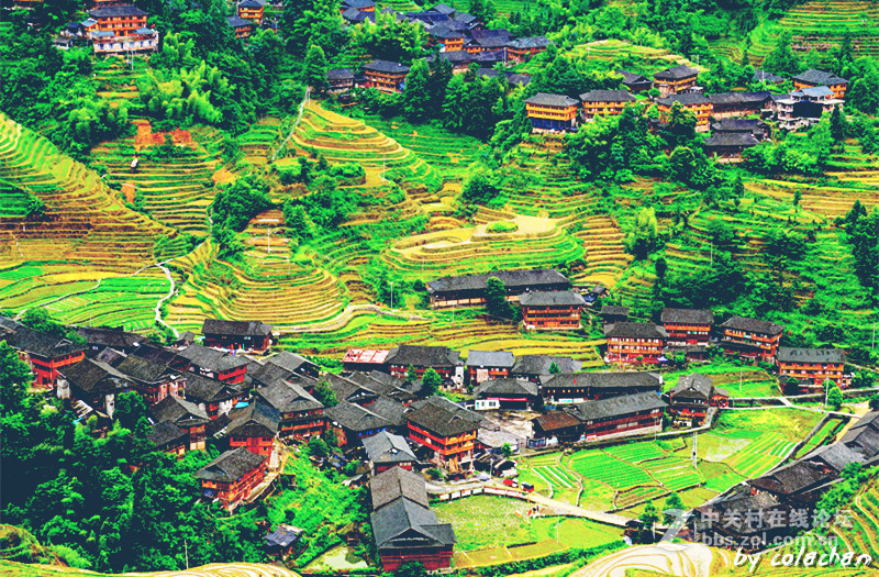 初用a6000的隨手拍~~~望高人指點