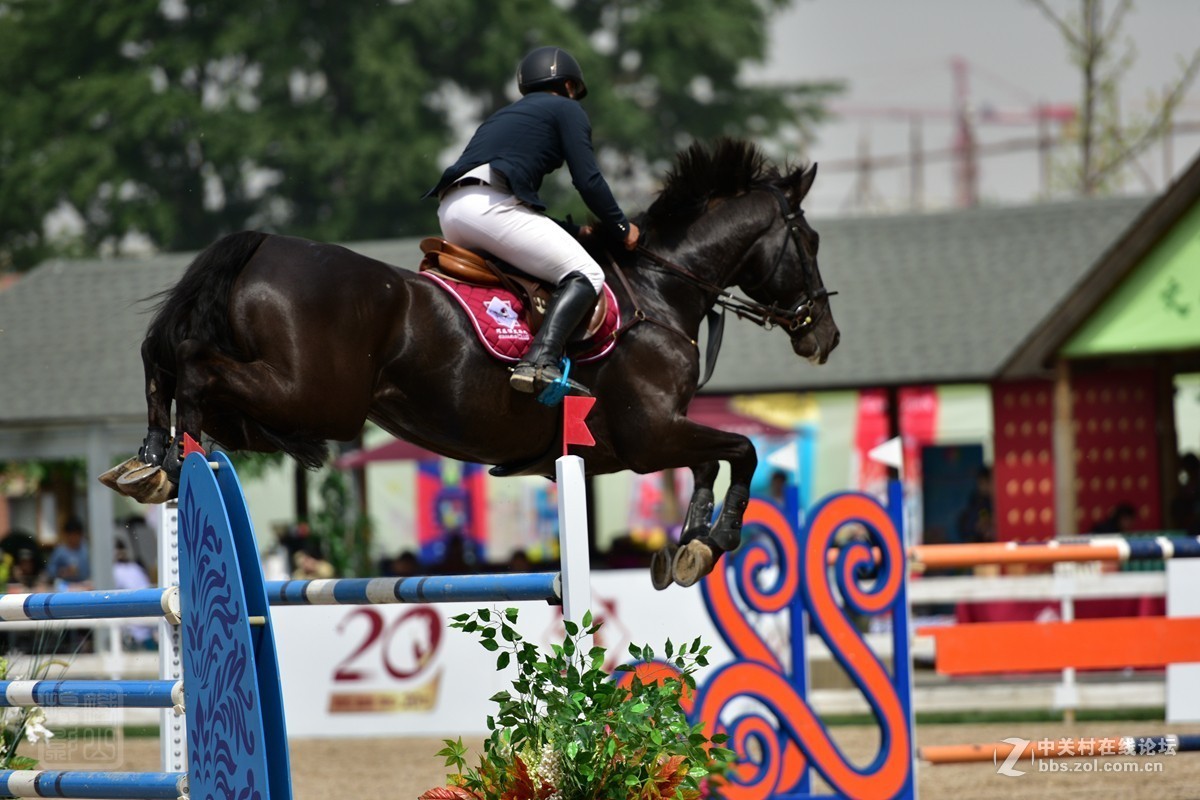 天星调良国际马术障碍大赛抓拍2