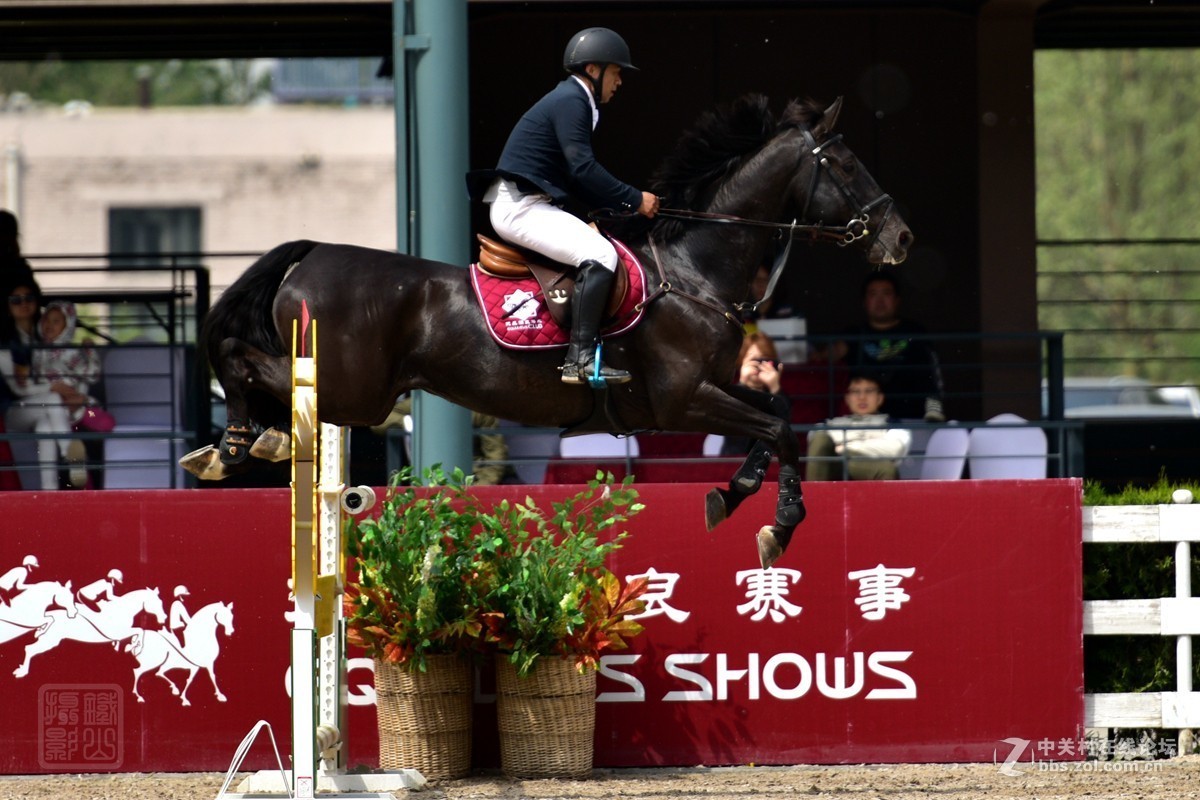 天星调良国际马术障碍大赛抓拍2
