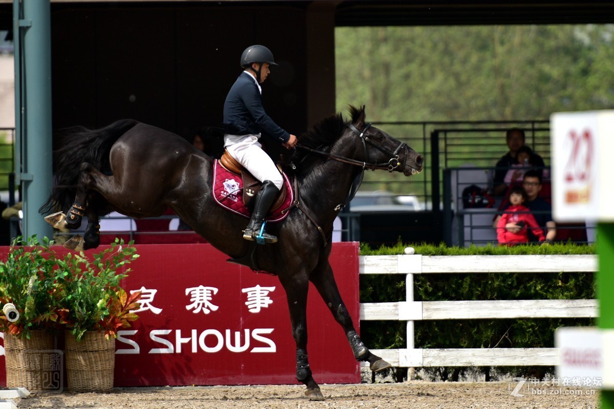 天星调良国际马术障碍大赛抓拍2
