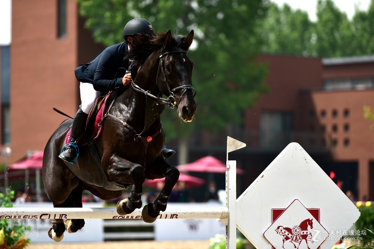 天星调良国际马术障碍大赛抓拍2