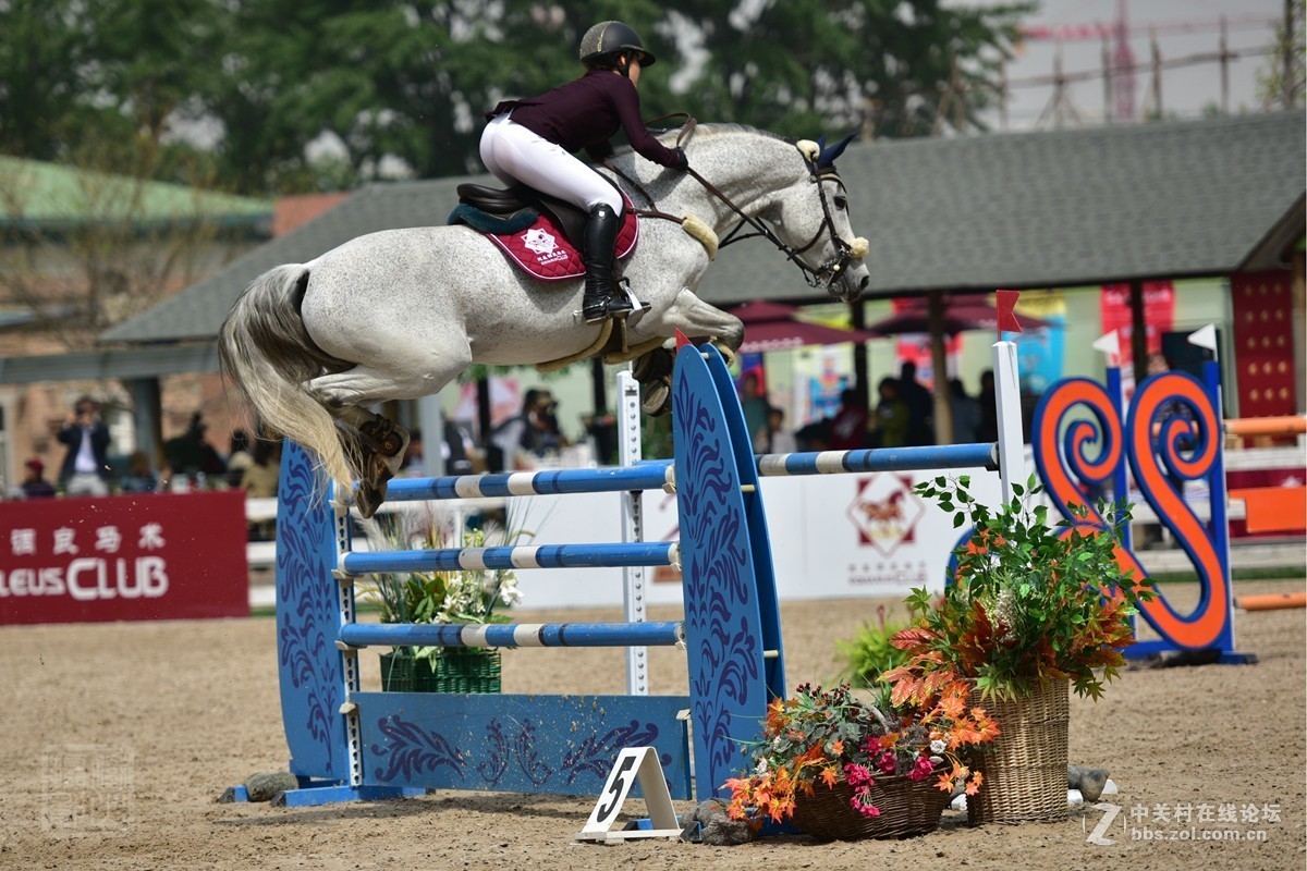 天星调良国际马术障碍大赛抓拍2