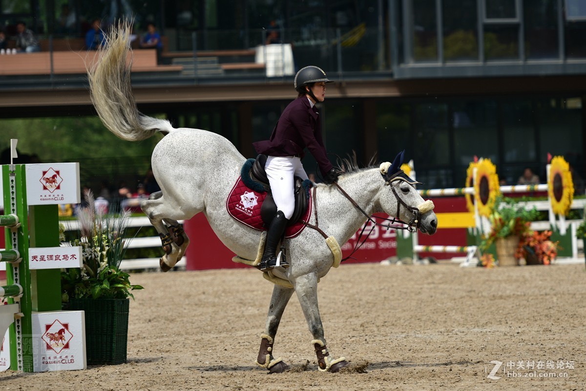 天星调良国际马术障碍大赛抓拍2