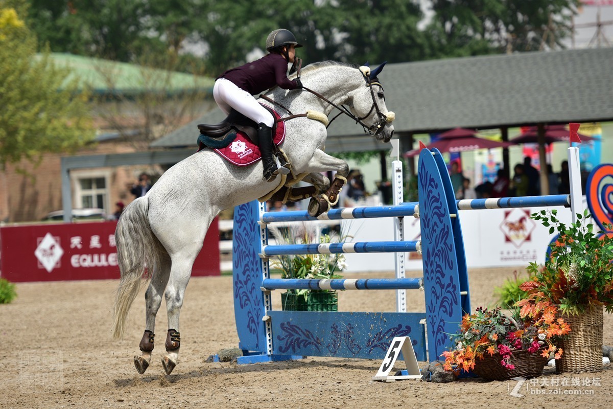 天星调良国际马术障碍大赛抓拍2