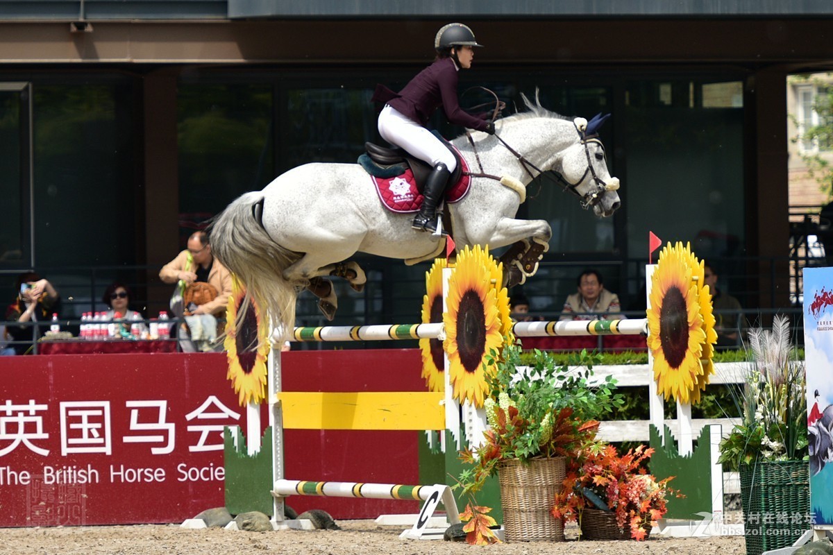 天星调良国际马术障碍大赛抓拍2