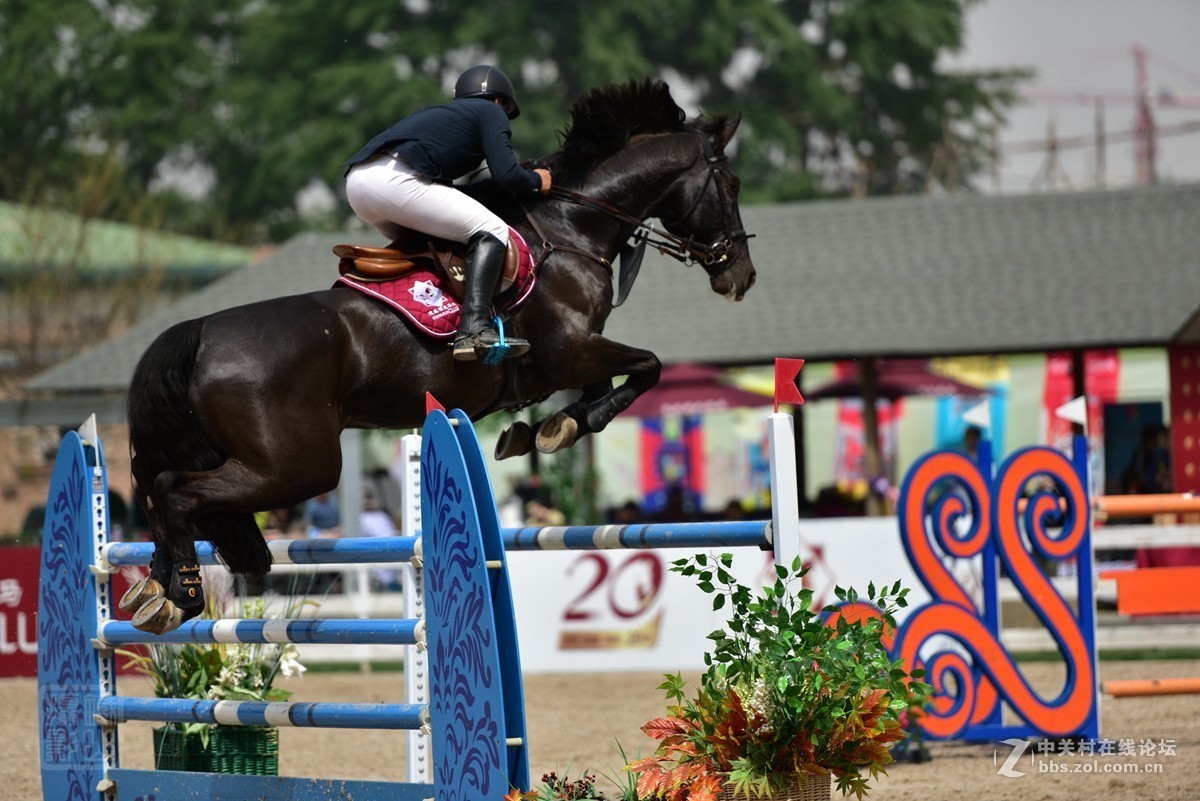 天星调良国际马术障碍大赛抓拍2