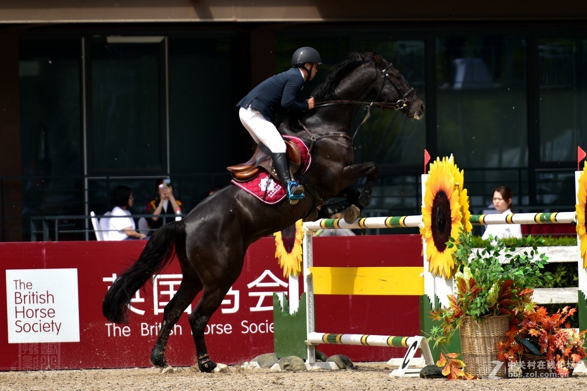 天星调良国际马术障碍大赛抓拍2