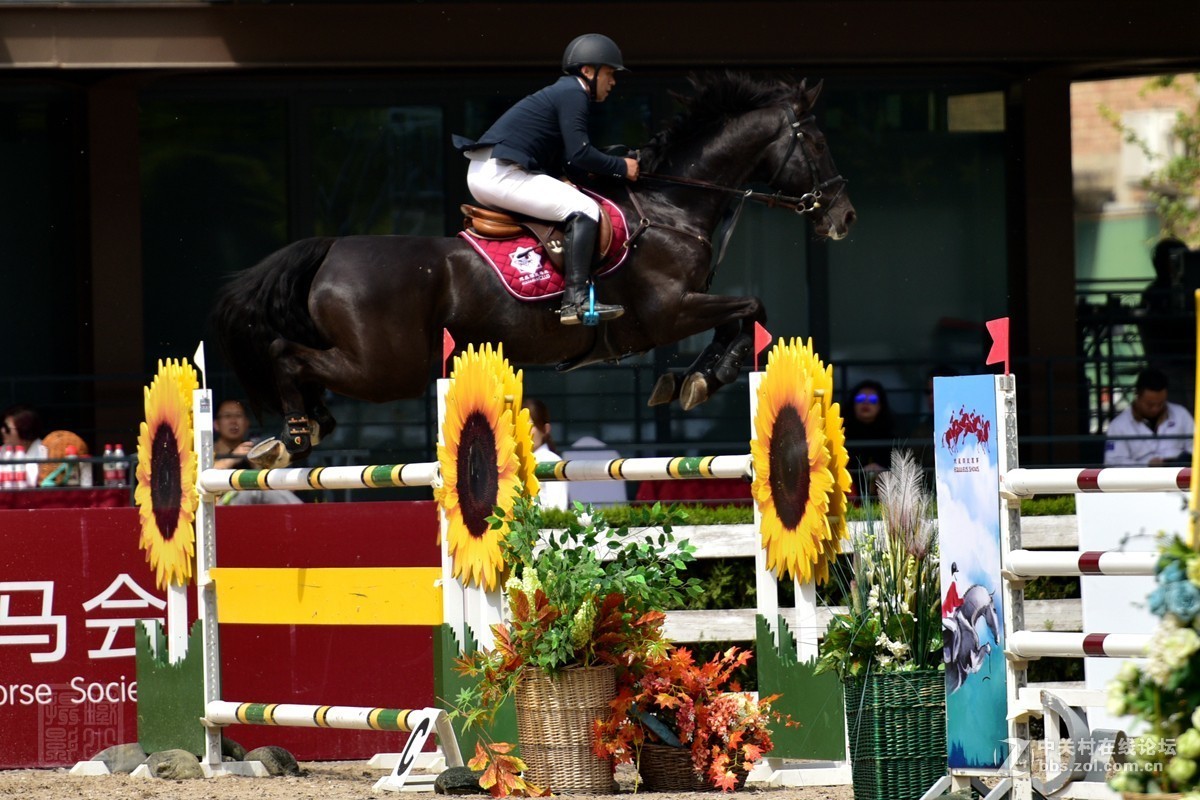 天星调良国际马术障碍大赛抓拍2