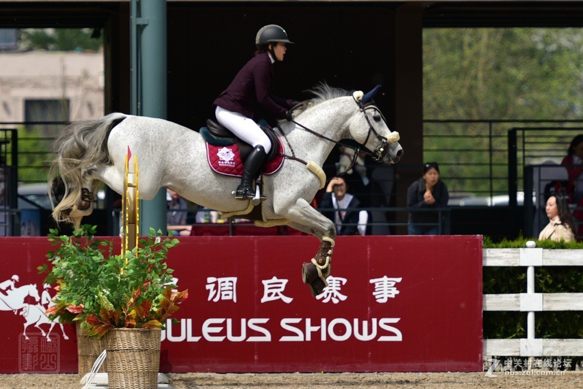 天星调良国际马术障碍大赛抓拍2