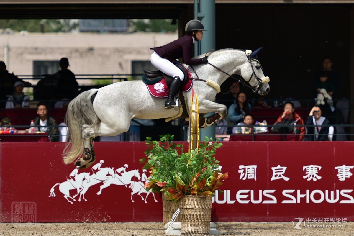 天星调良国际马术障碍大赛抓拍2