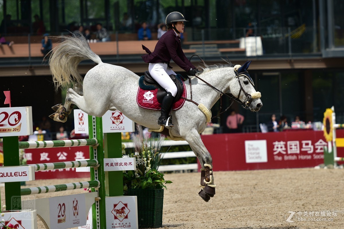 天星调良国际马术障碍大赛抓拍2
