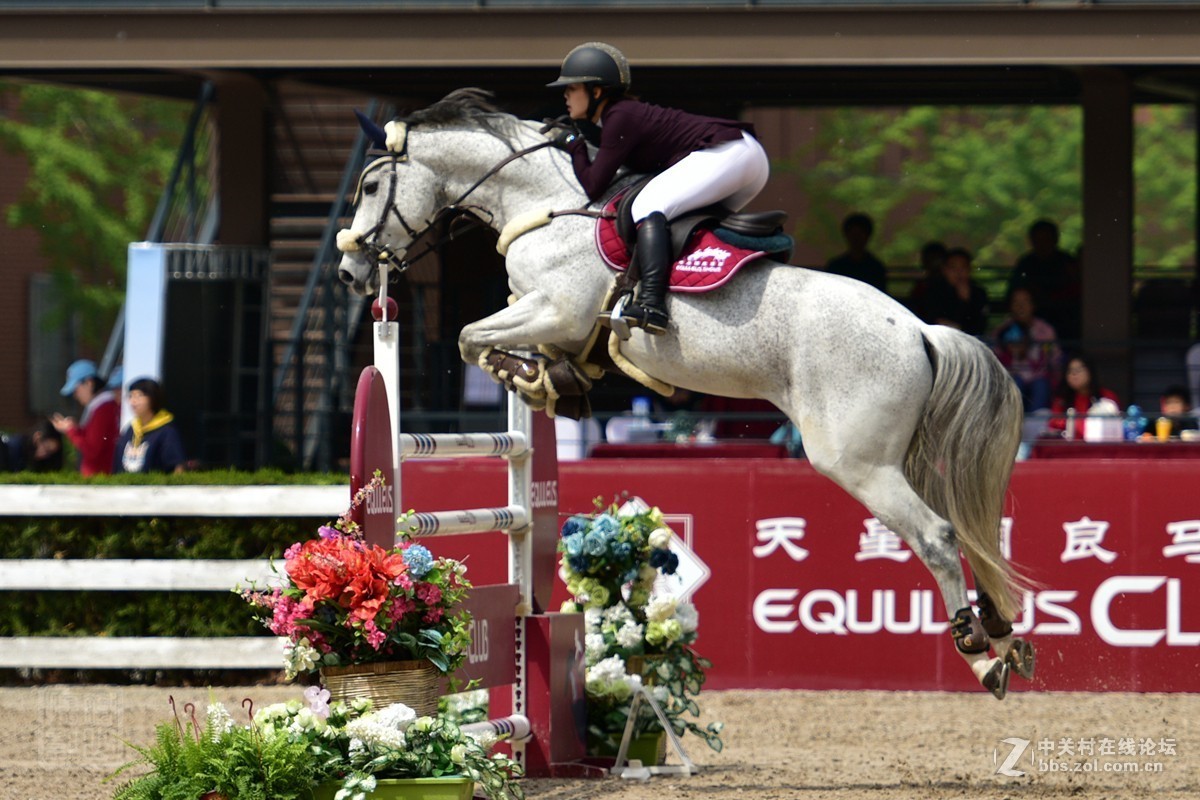 天星调良国际马术障碍大赛抓拍2