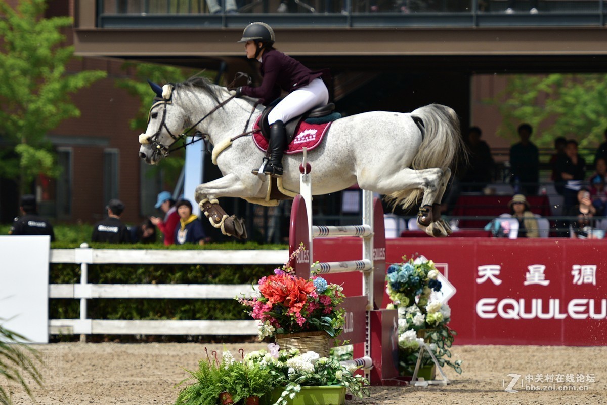 天星调良国际马术障碍大赛抓拍2