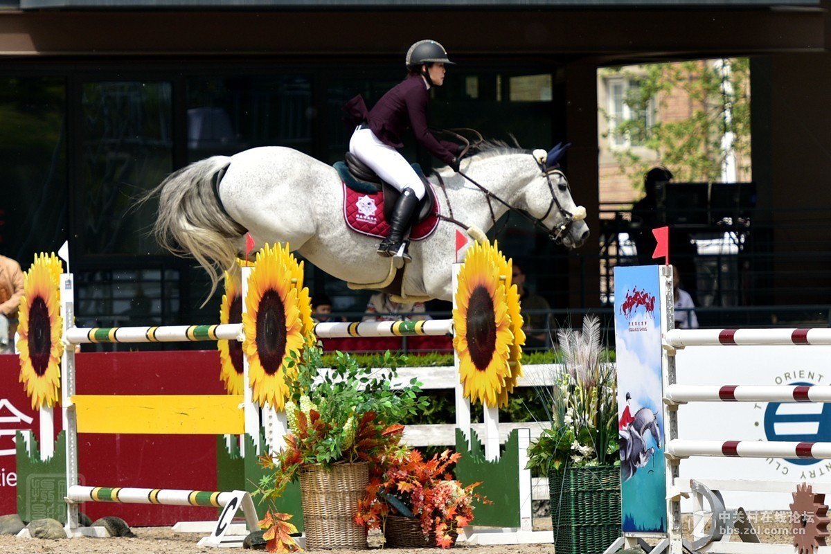 天星调良国际马术障碍大赛抓拍2