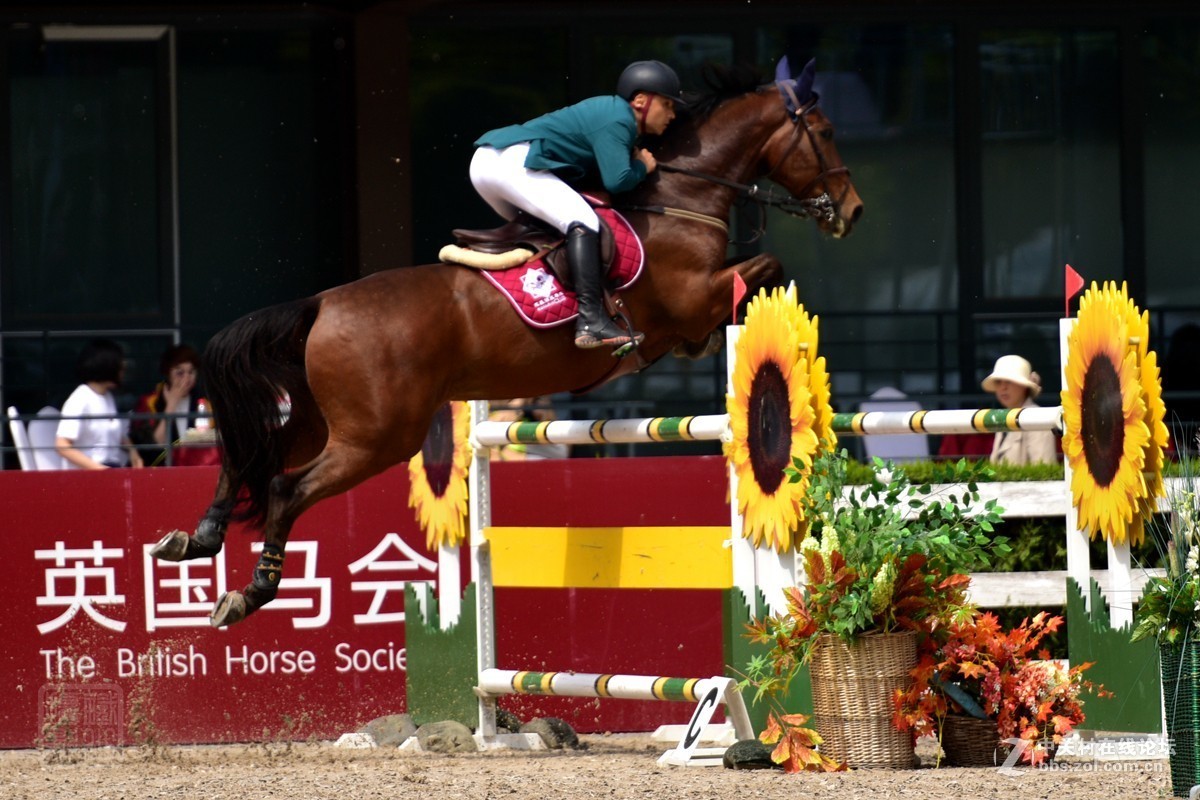 天星调良国际马术障碍大赛抓拍2