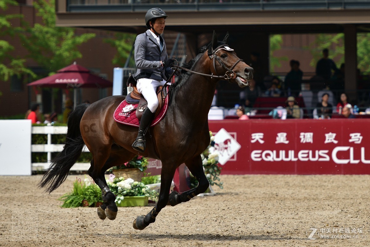天星调良国际马术障碍大赛抓拍2