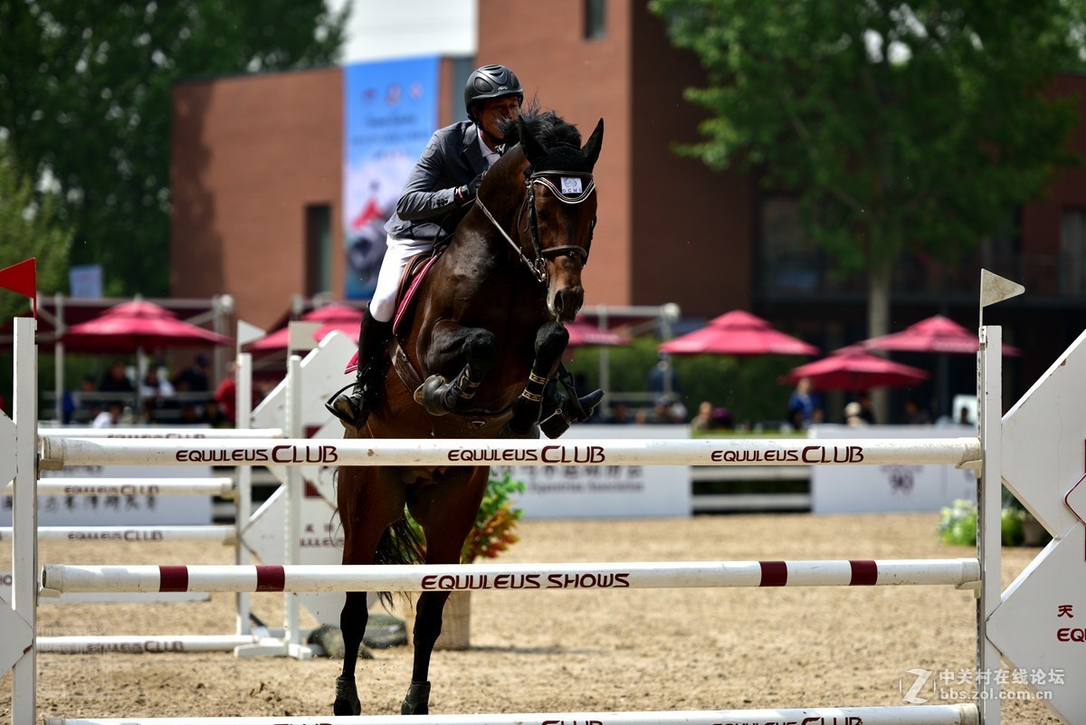 天星调良国际马术障碍大赛抓拍2