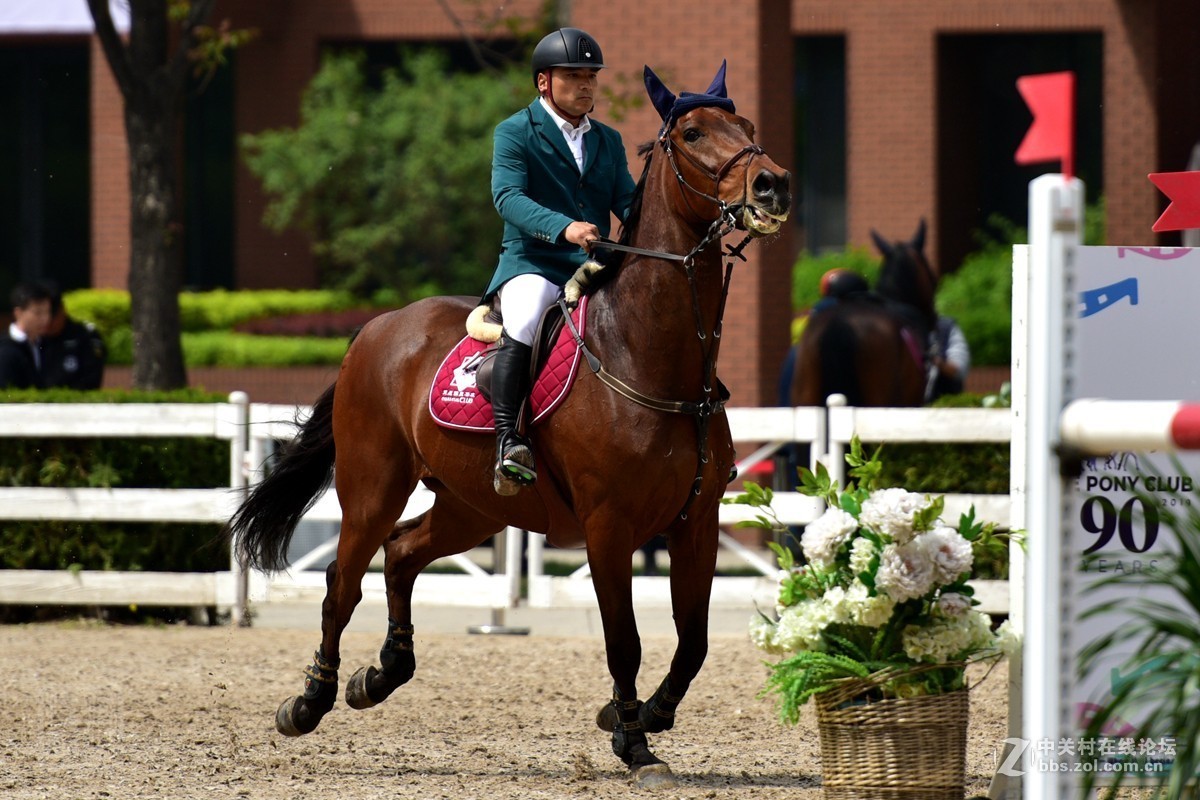 天星调良国际马术障碍大赛抓拍2