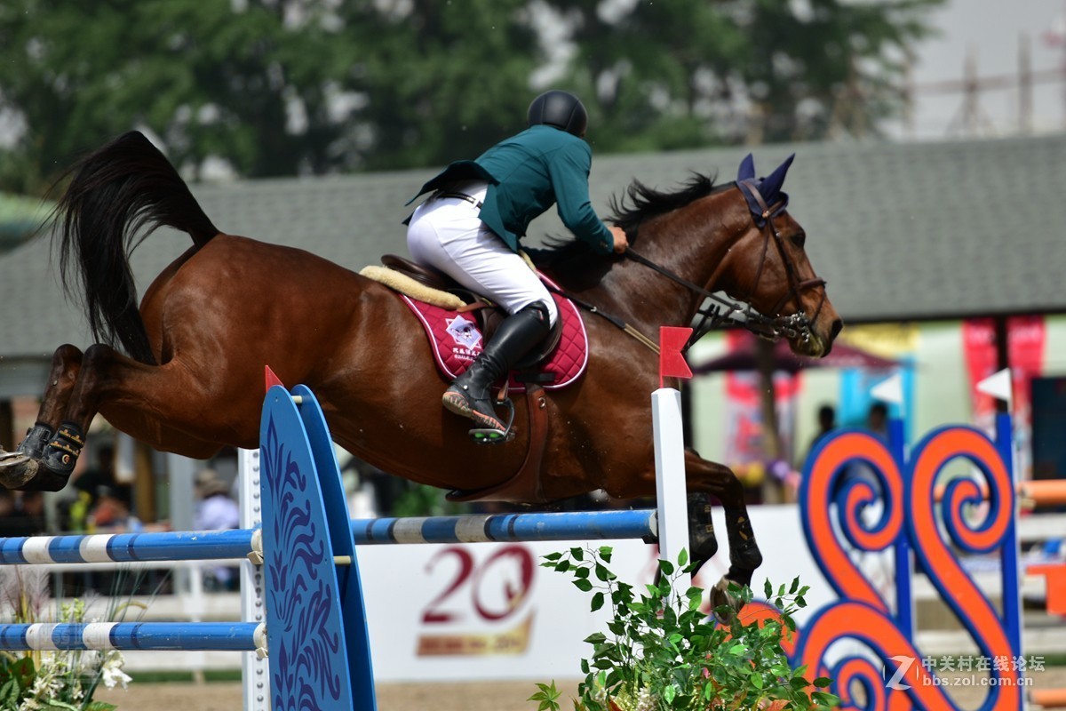天星调良国际马术障碍大赛抓拍2